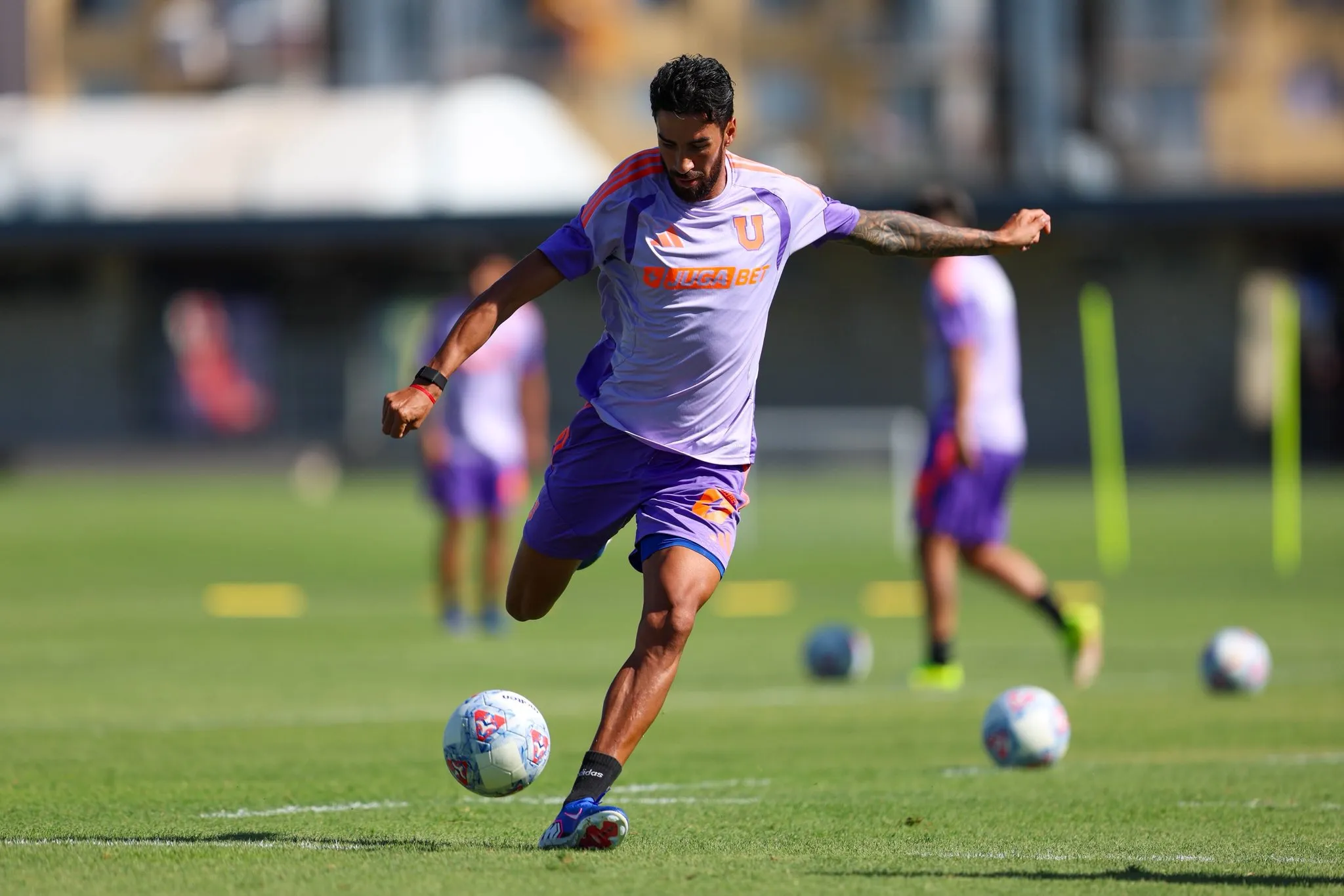 Rivarola quiere un gato titular en Universidad de Chile.