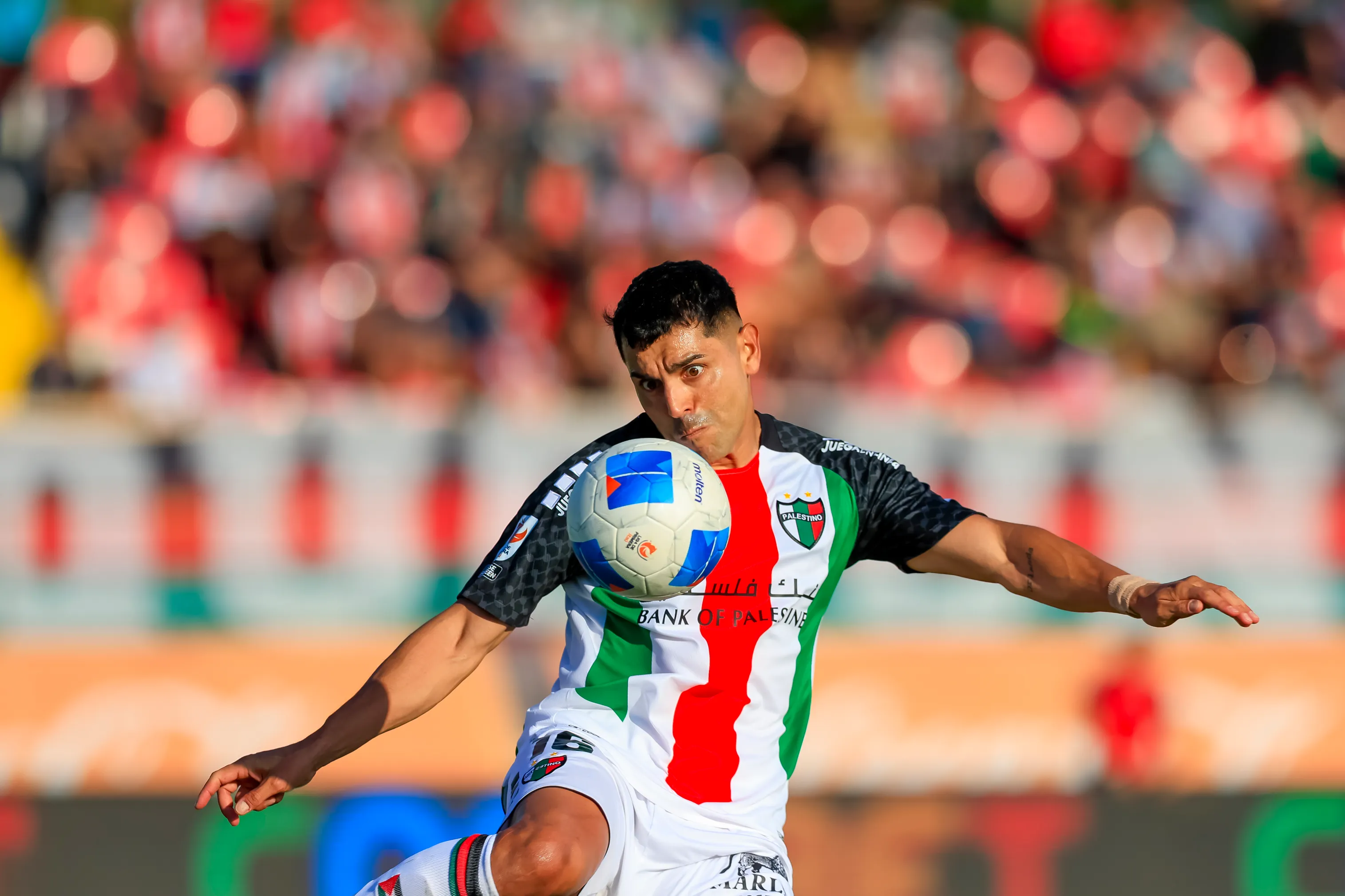 José Bizama, otro defensor que Palestino cuenta para 2026. (Pepe Alvujar/Photosport).