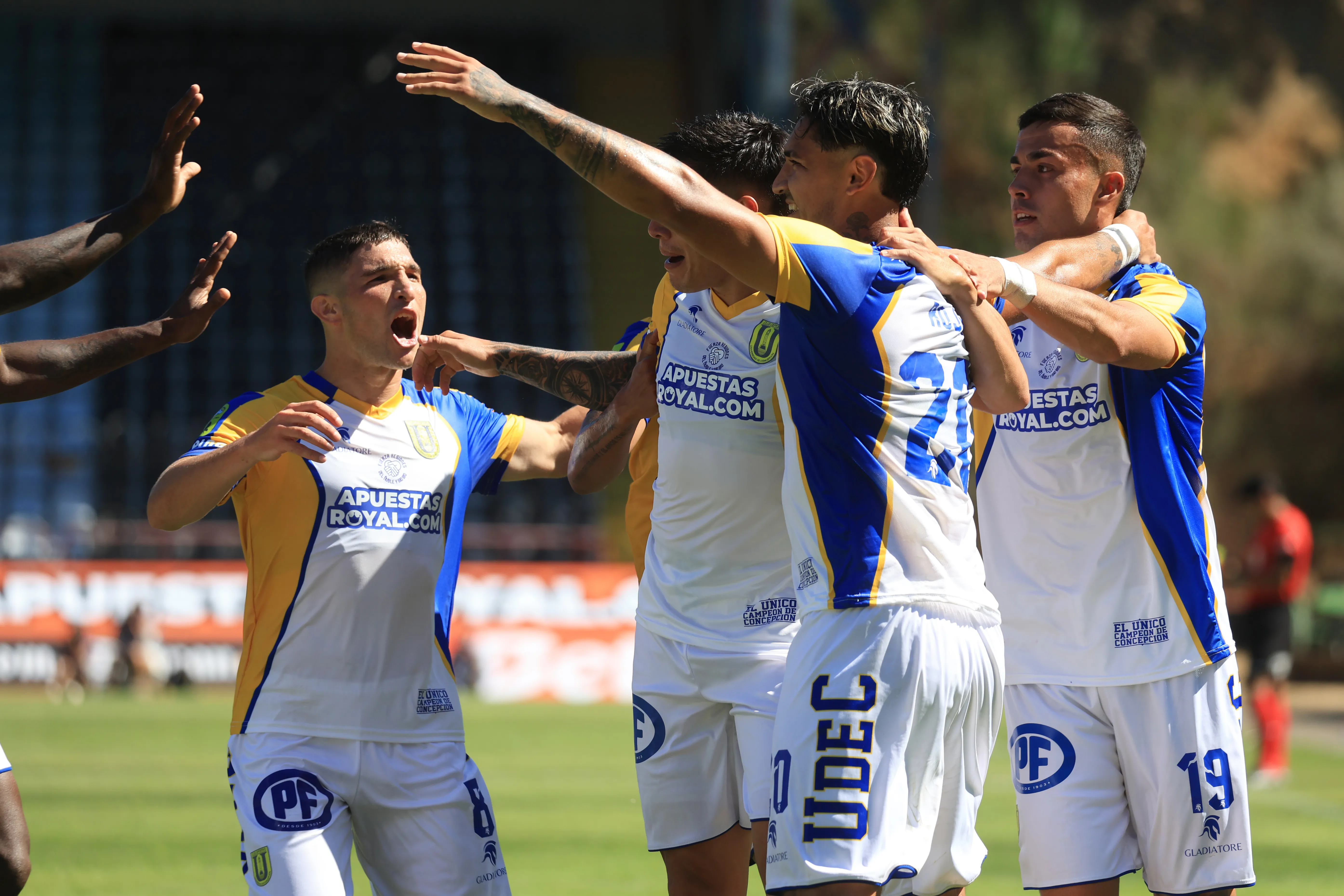 Universidad de Concepción vio frustrados sus deseos de ser una Sociedad Anónima Deportiva. | Foto: Photosport.