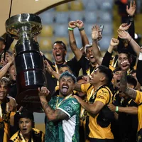 Polémica: gobierno obliga a Coquimbo a sacar bandera de Coquimbo Unido