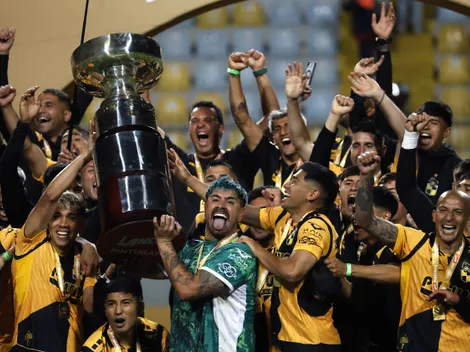 Polémica: gobierno obliga a Coquimbo a sacar bandera de Coquimbo Unido