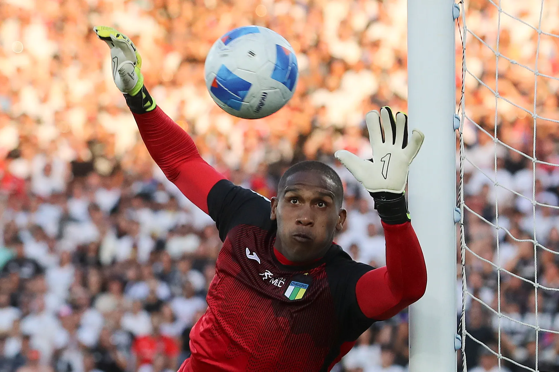 Omar Carabalí tiene un muy buen presente en O’Higgins