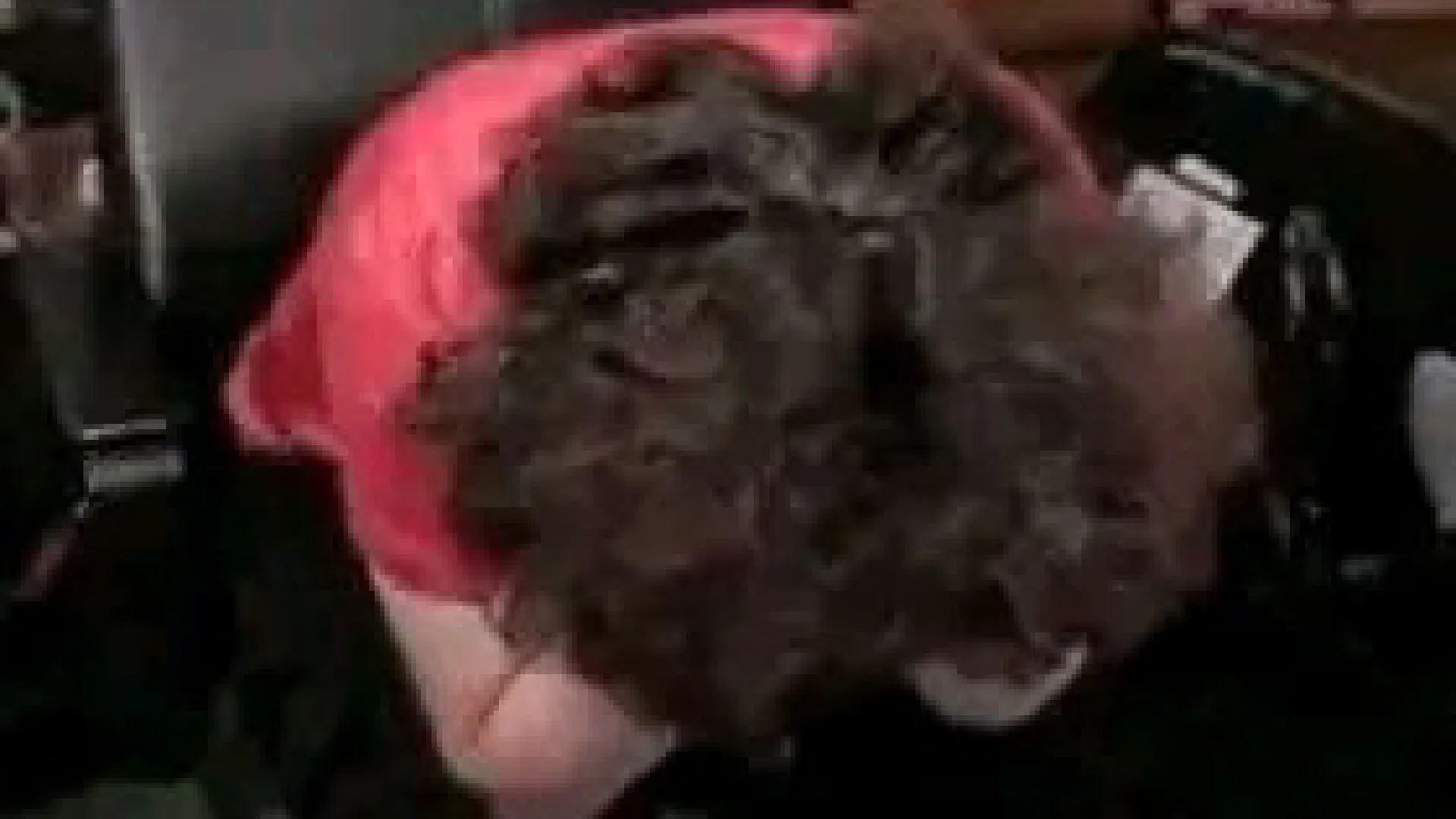 Frank Ilett no pudo llegar a la meta tras el empate del Manchester United con West Ham. Foto: Kick.