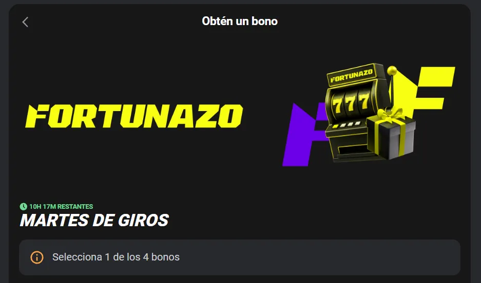 Tomada de fortunazo.cl