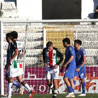 Round con Palestino: Periodista partidaria de la U lanza recurso de protección