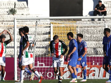 Round con Palestino: Periodista partidaria de la U lanza recurso de protección