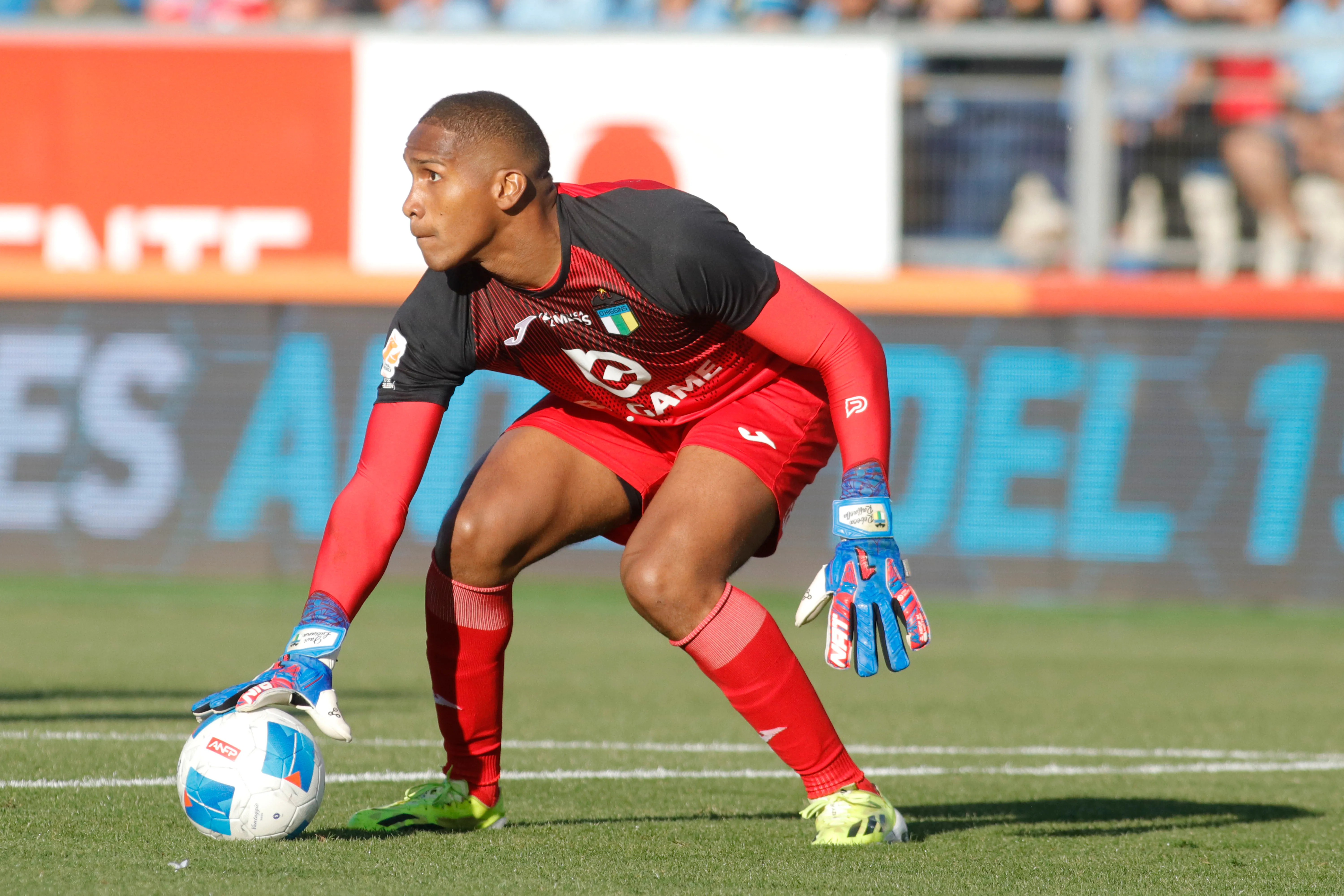 Carabalí de O’Higgins.