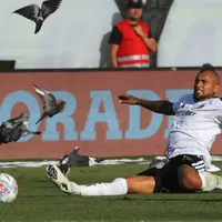 Explican la masiva presencia de palomas en el Superclásico 199