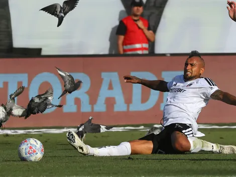 Explican la masiva presencia de palomas en el Superclásico 199
