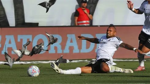 La explicación por las palomas del Superclásico.