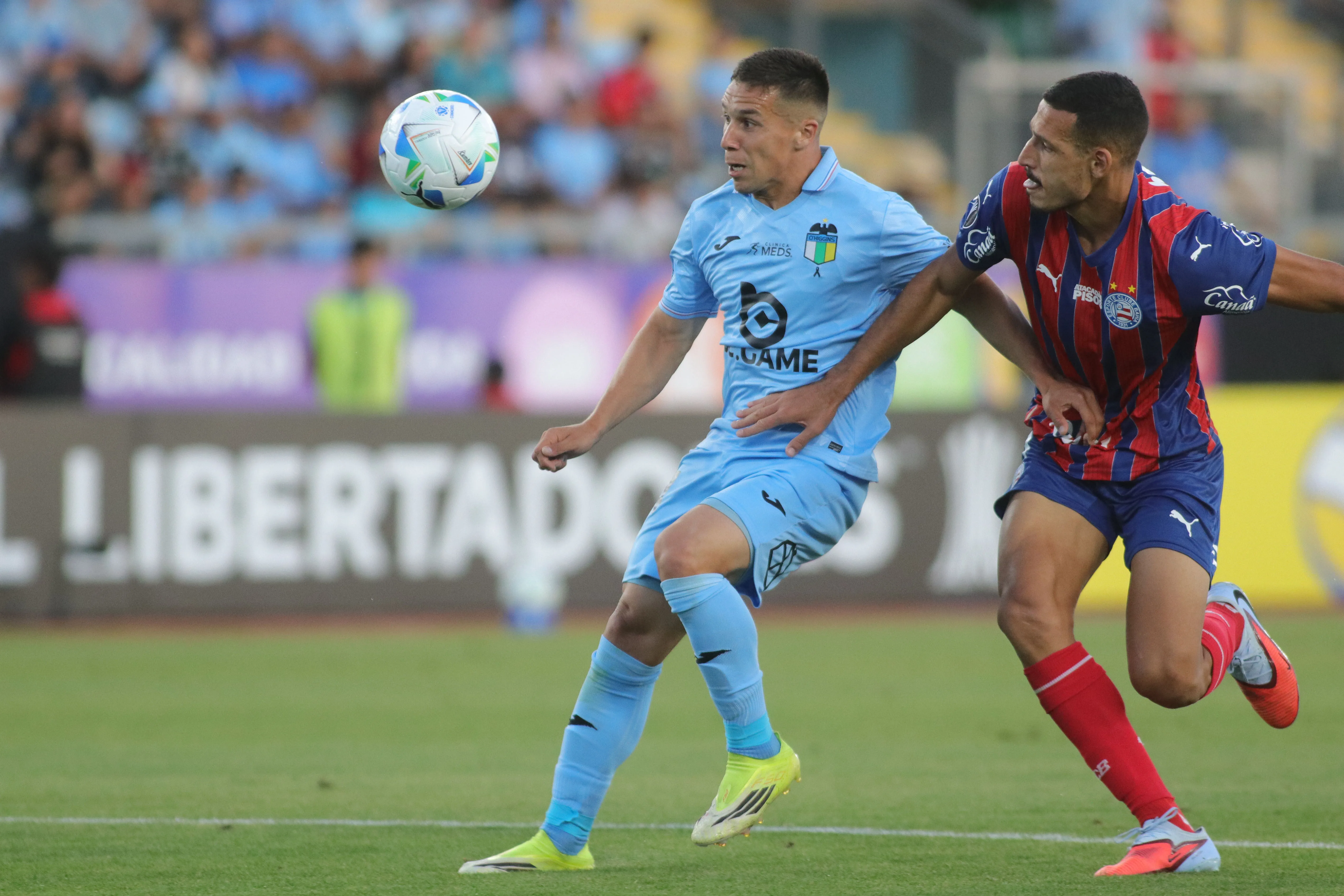 O’Higgins hizo una tremenda fase ante Bahía /Photosport