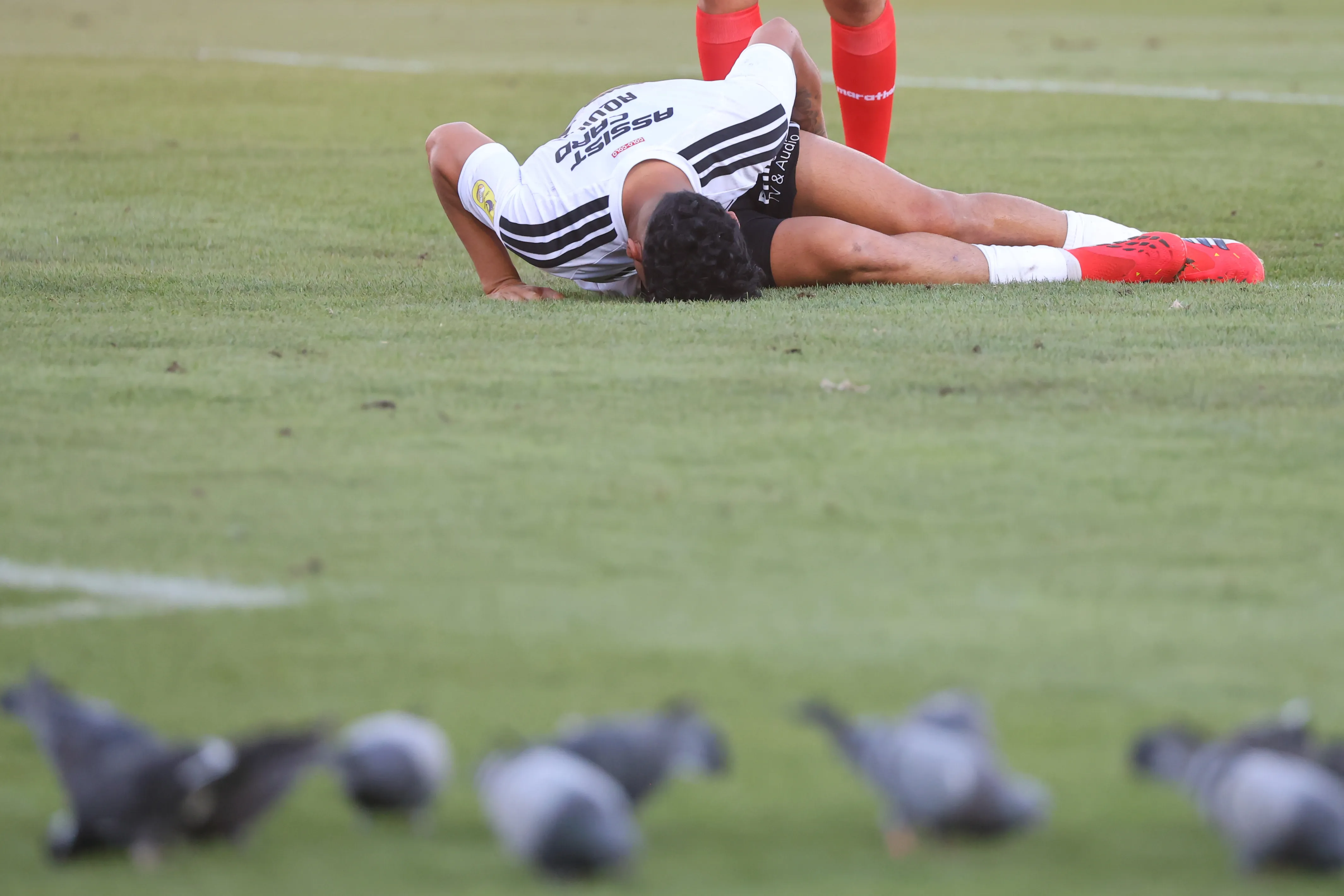 Aquino en el suelo y las palomas picoteando el pasto del Monumental | Photosport