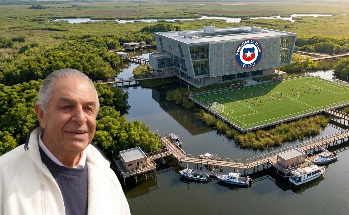 Ricardo Abumohor inquieto tras reforma de ley SADP: “Estás construyendo un edificio arriba de un pantano”