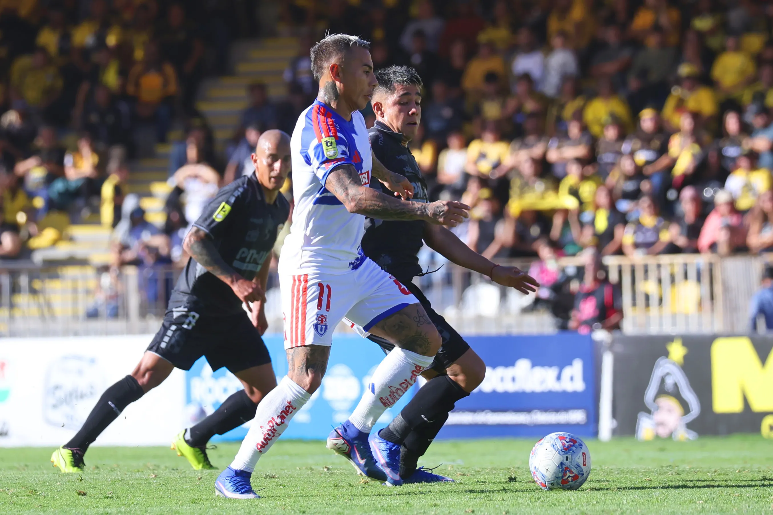 Edu Vargas estuvo en un buen nivel | Photosport