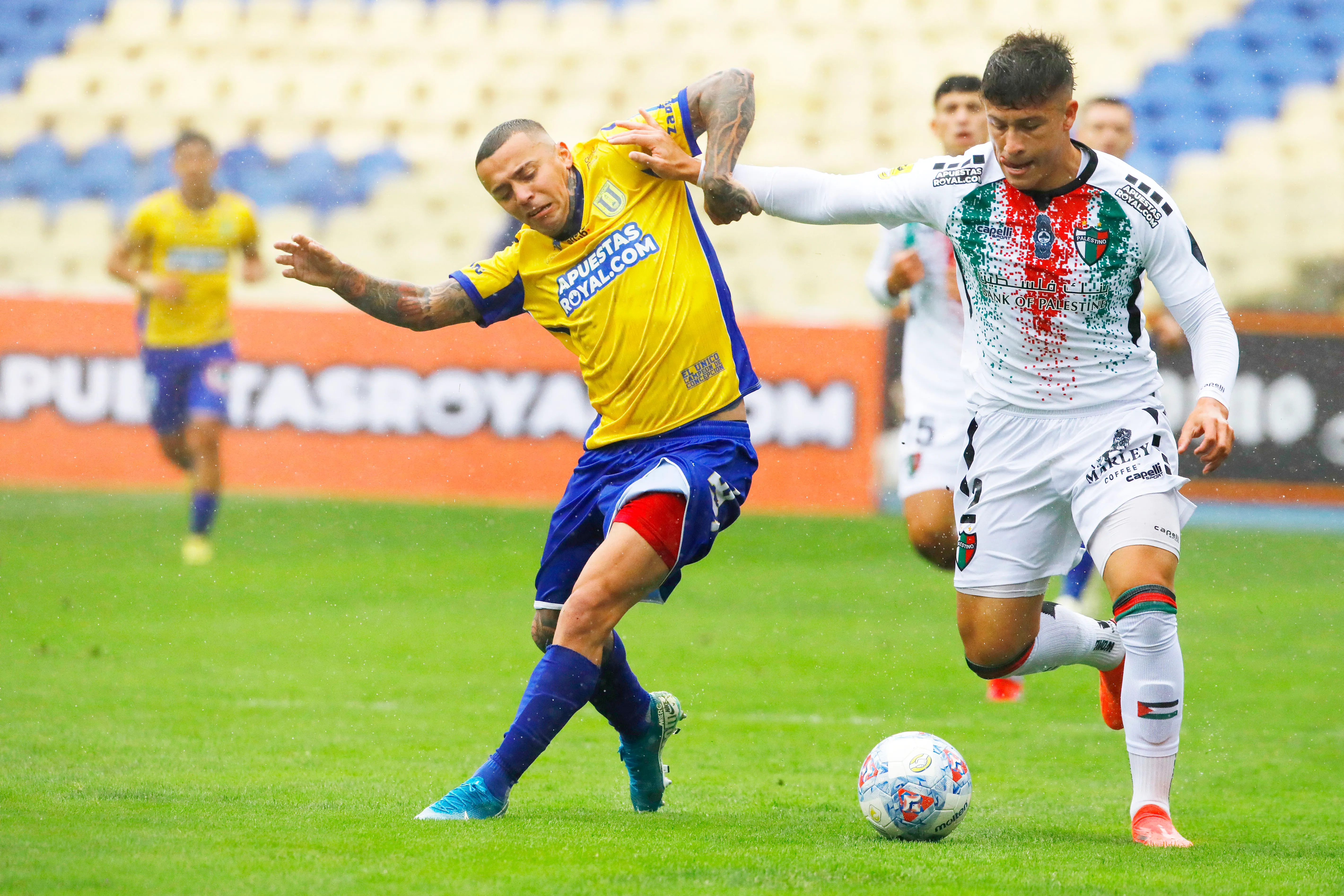 Universidad de Concepción le ganó un partido clave a Palestino. Foto: Marco Vázquez/Photosport