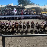 Criadero Carmen de Nilahue se instala en la final del Campeonato Nacional