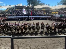 Criadero Carmen de Nilahue se instala en la final del Campeonato Nacional