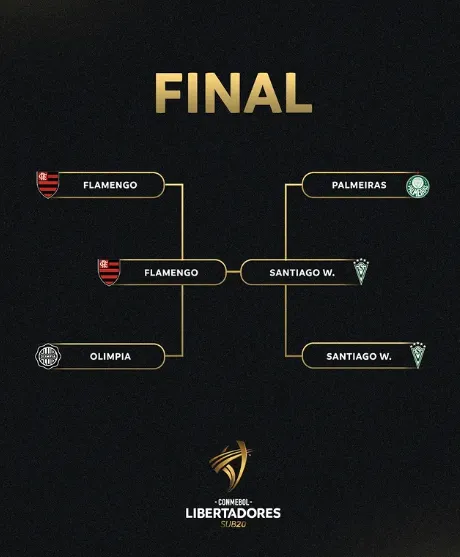 Foto: Copa Libertadores Sub-20.