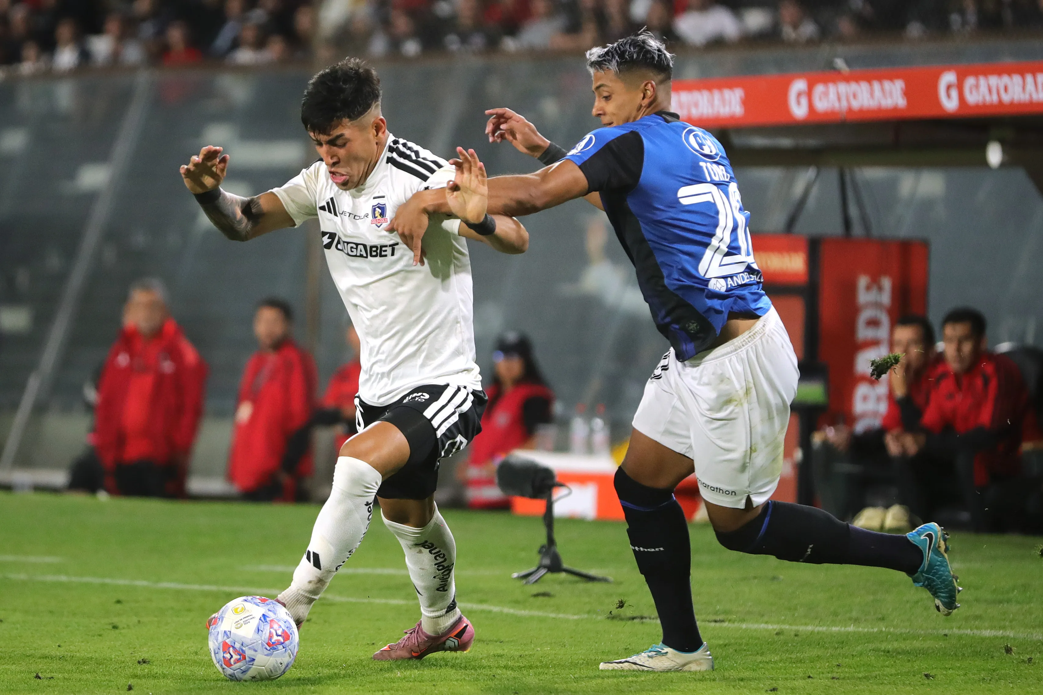 Diego Ulloa, una de las grandes apuestas de Fernando Ortiz en Colo Colo. (Felipe Zanca/Photosport).