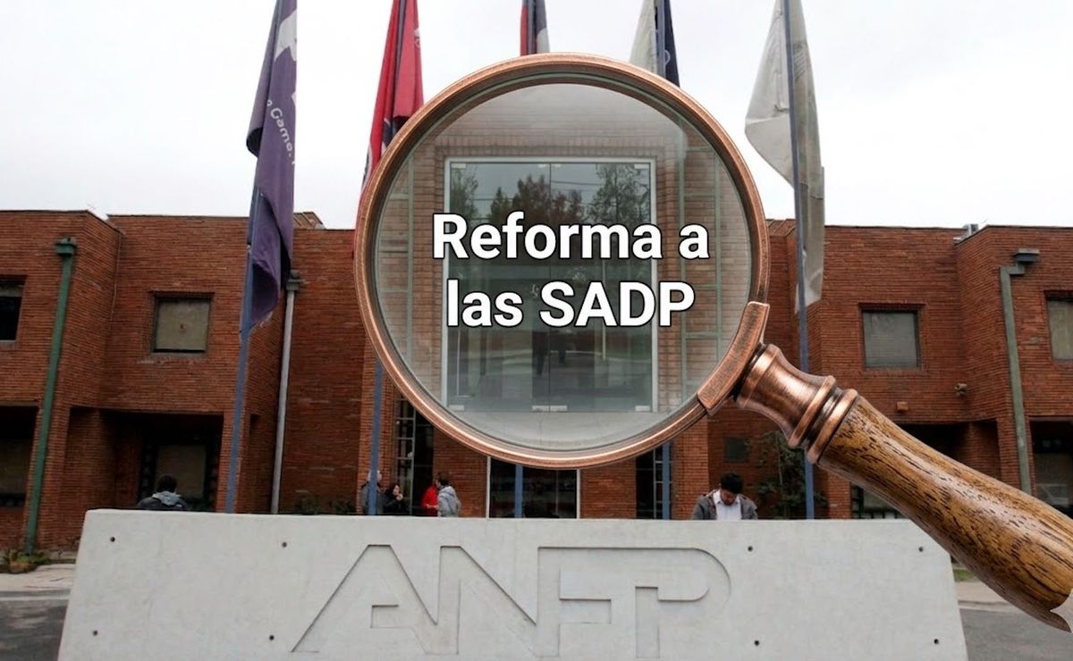 “El perjudicado…”: La alerta sobre la reforma a las Sociedades Anónimas en Chile