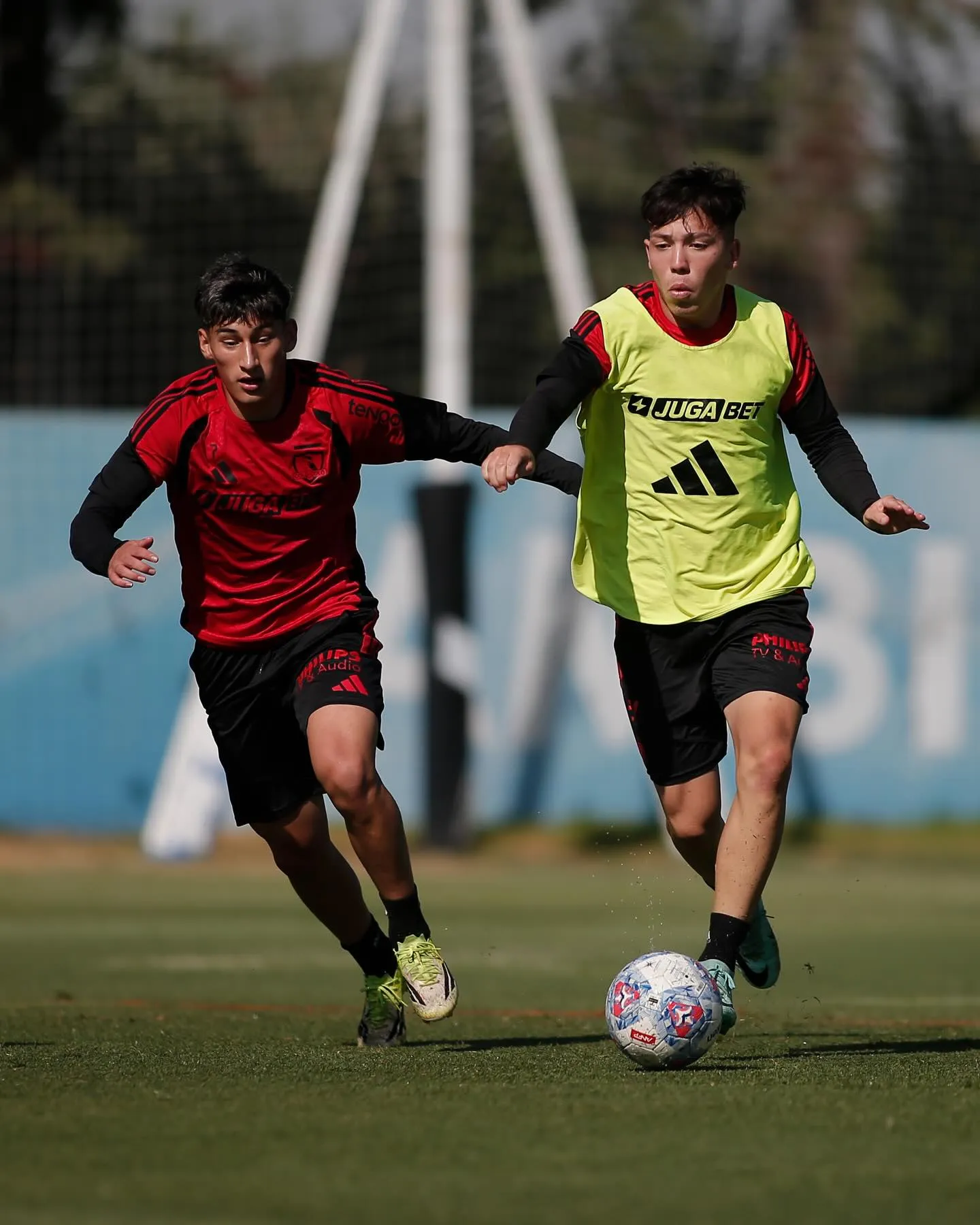 Fernando Ortiz destacó a los juveniles de Colo Colo para esta temporada. Foto: Colo Colo.