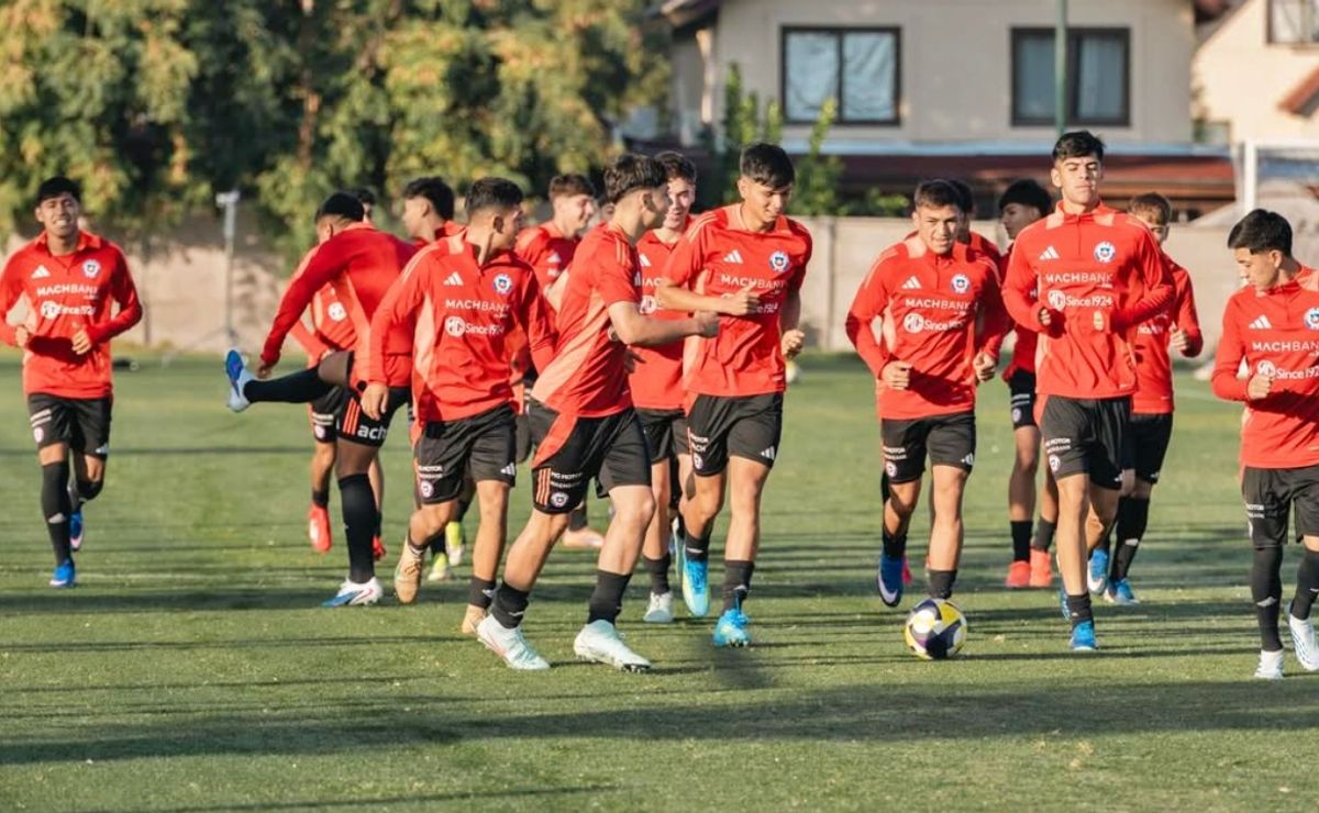 Tras reclamos en Colo Colo: Suman convocado a Selección Chilena Sub 17 tras lesión