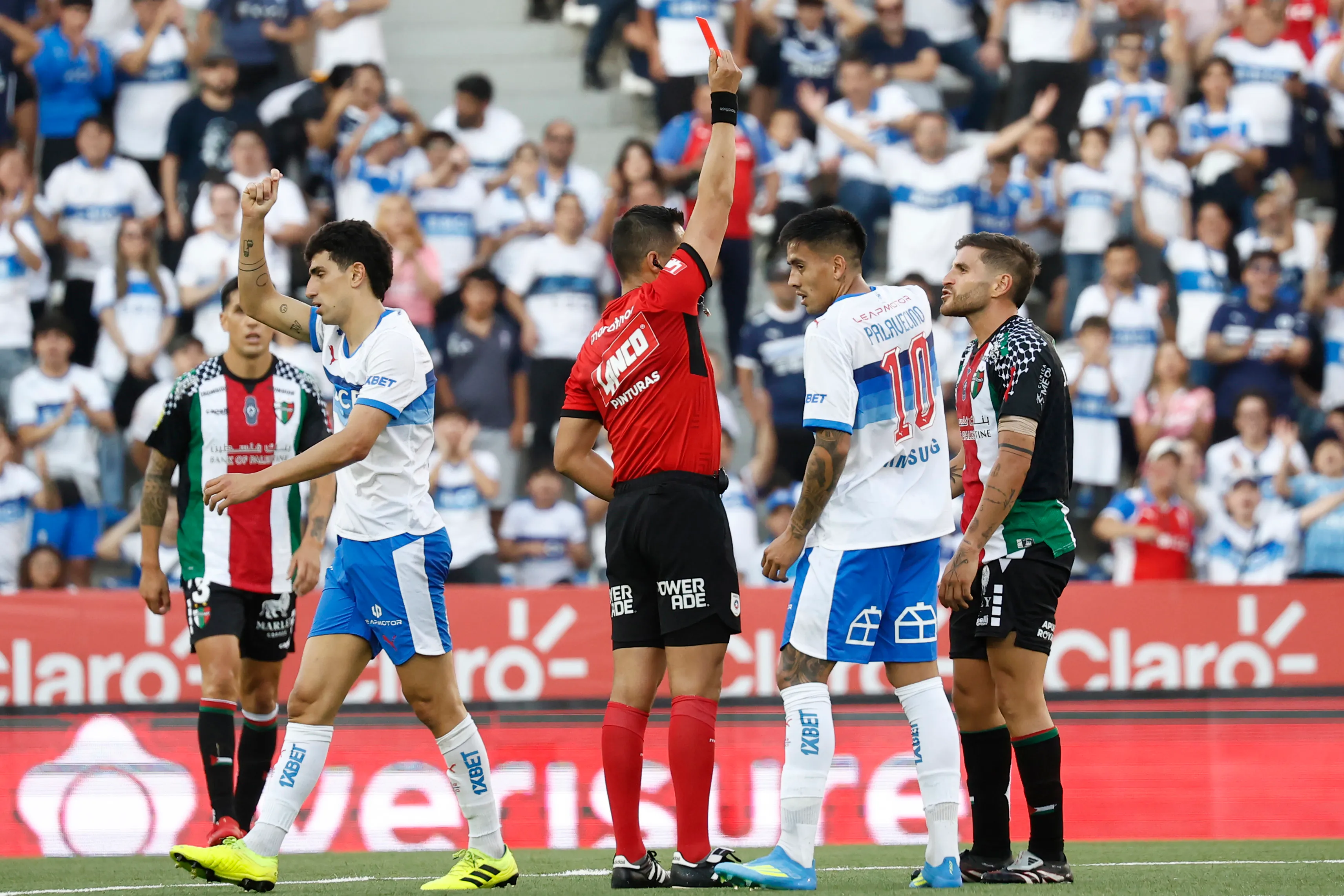 Julián Fernández fue expulsado en Palestino ante Católica. Foto: Dragomir Yankovic/Photosport