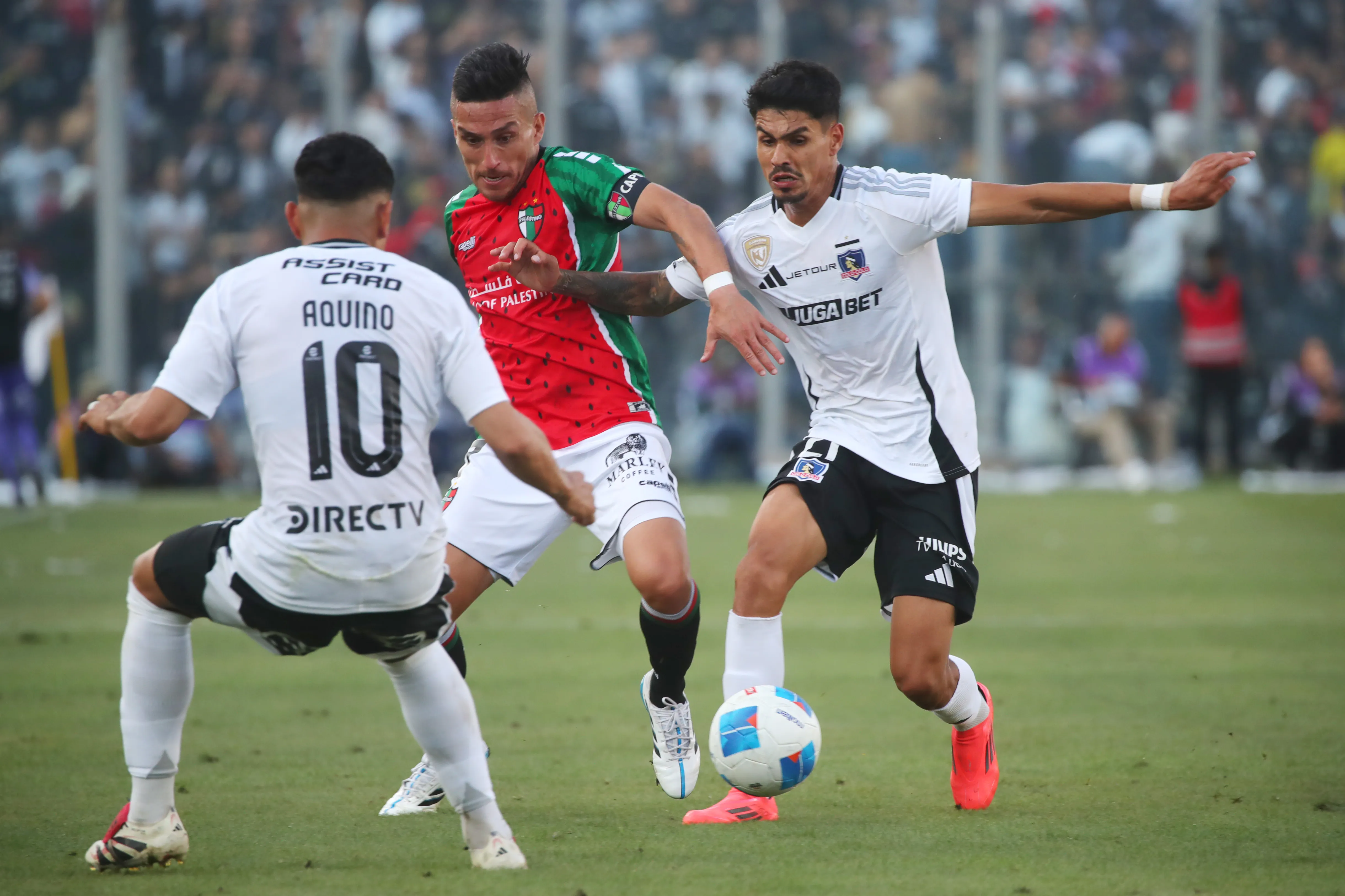 Colo Colo recibe el día de su aniversario 101 a Palestino. Foto: Jonnathan Oyarzun/Photosport