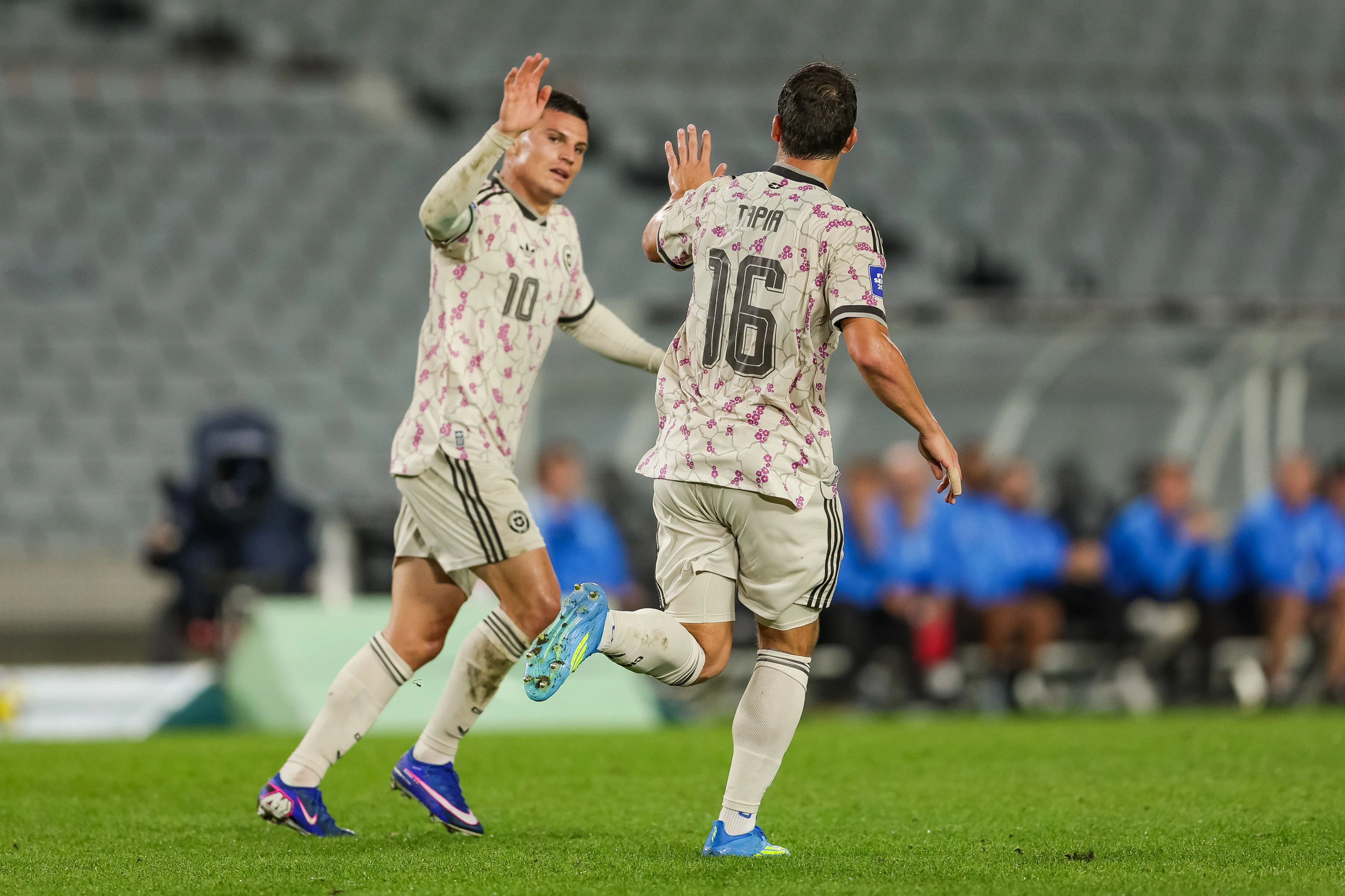 Chile viene de perder 4-1 ante Nueva Zelanda. Photo: Joshua Devenie / www.photosport.cl
