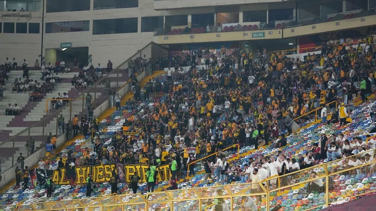 La barra de Coquimbo llegó en masa a Perú.