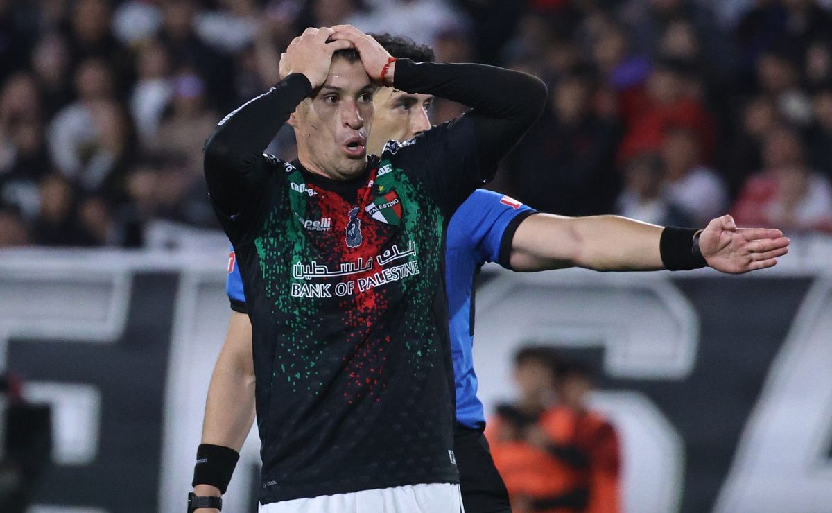 Polémica: la imagen que muestra que era válido el gol anulado a Palestino ante Colo Colo