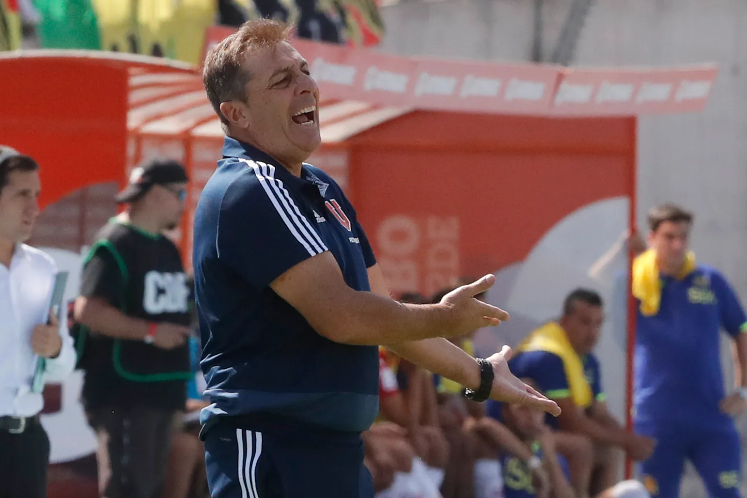 Kudelka en la banca azul, en 2019 | Photosport