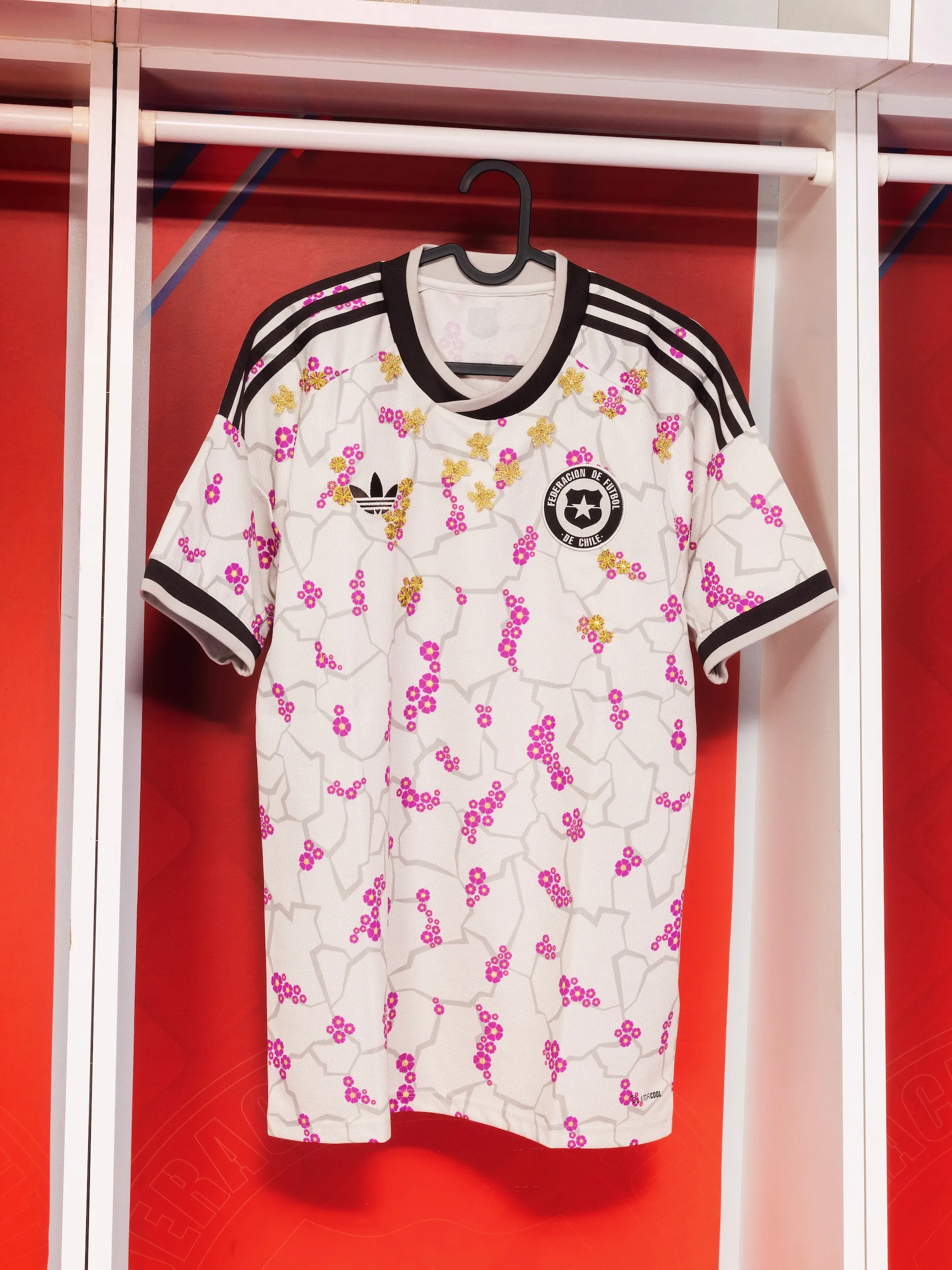 Así es la nueva camiseta de Chile que inspirado en el Desierto Florido.