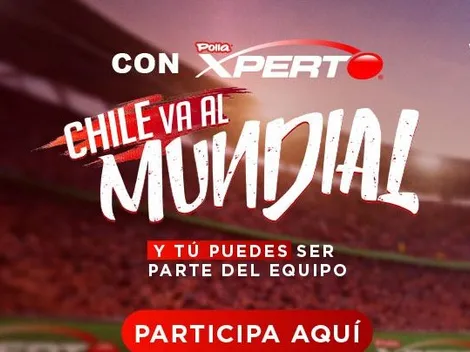 Vive el Mundial 2026 como un Profesional con Xperto