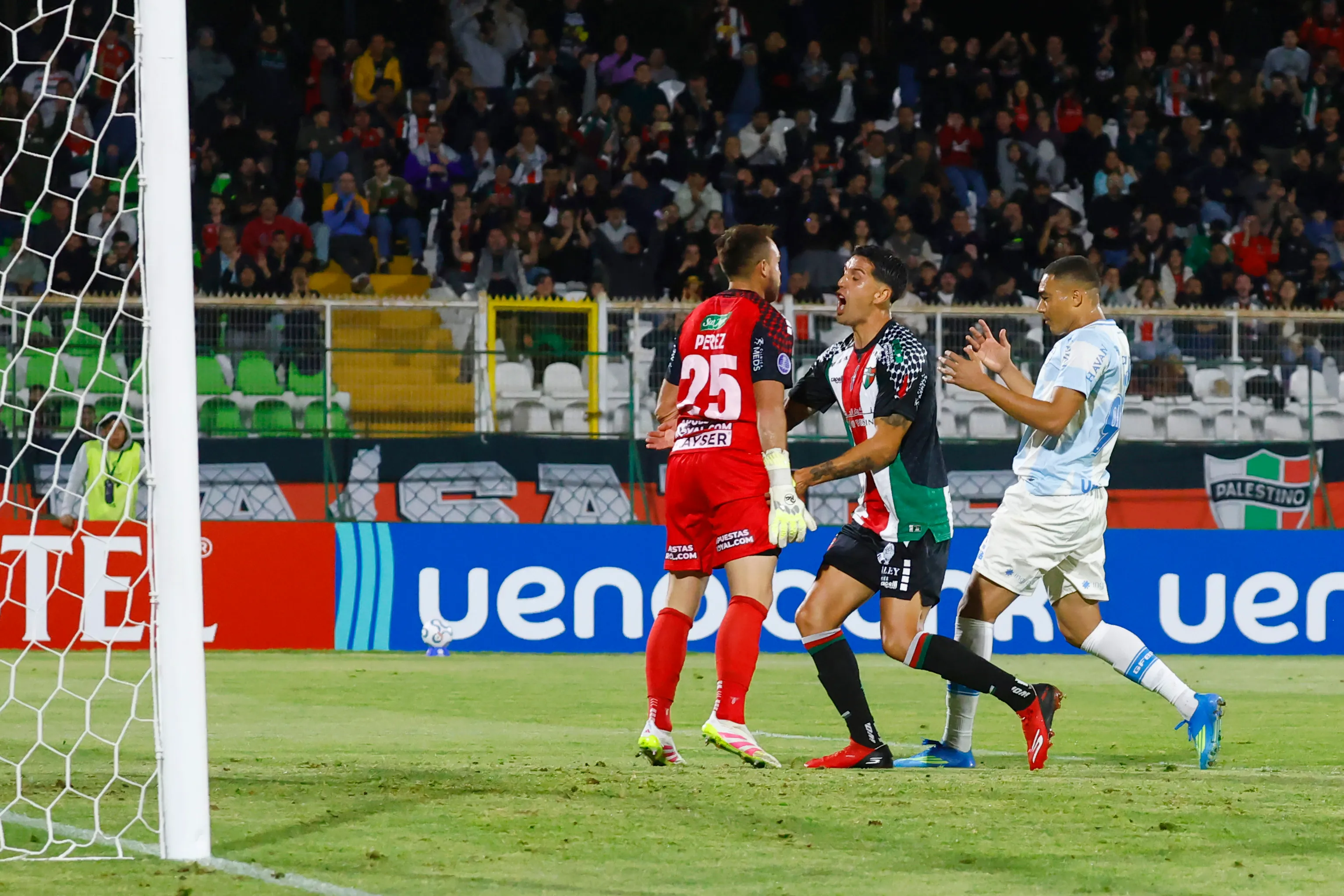 Enzo Roco vuelto loco por una de las tapadas del Zanahoria Pérez. (Dragomir Yankovic/Photosport).