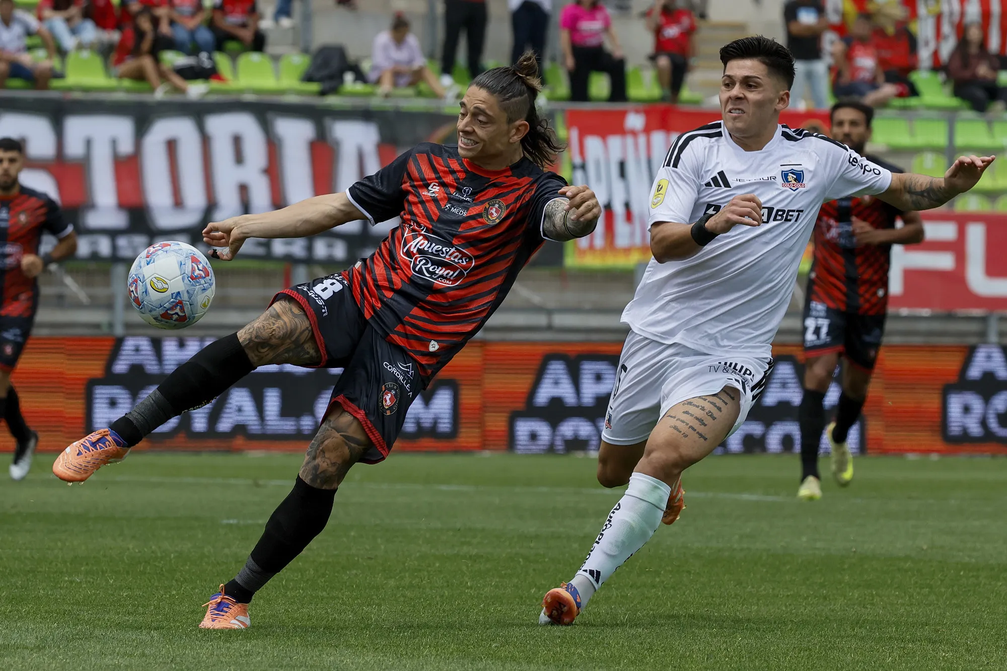 Limache le dice que no rotundo a Colo Colo: ni Montecinos ni Meneses.