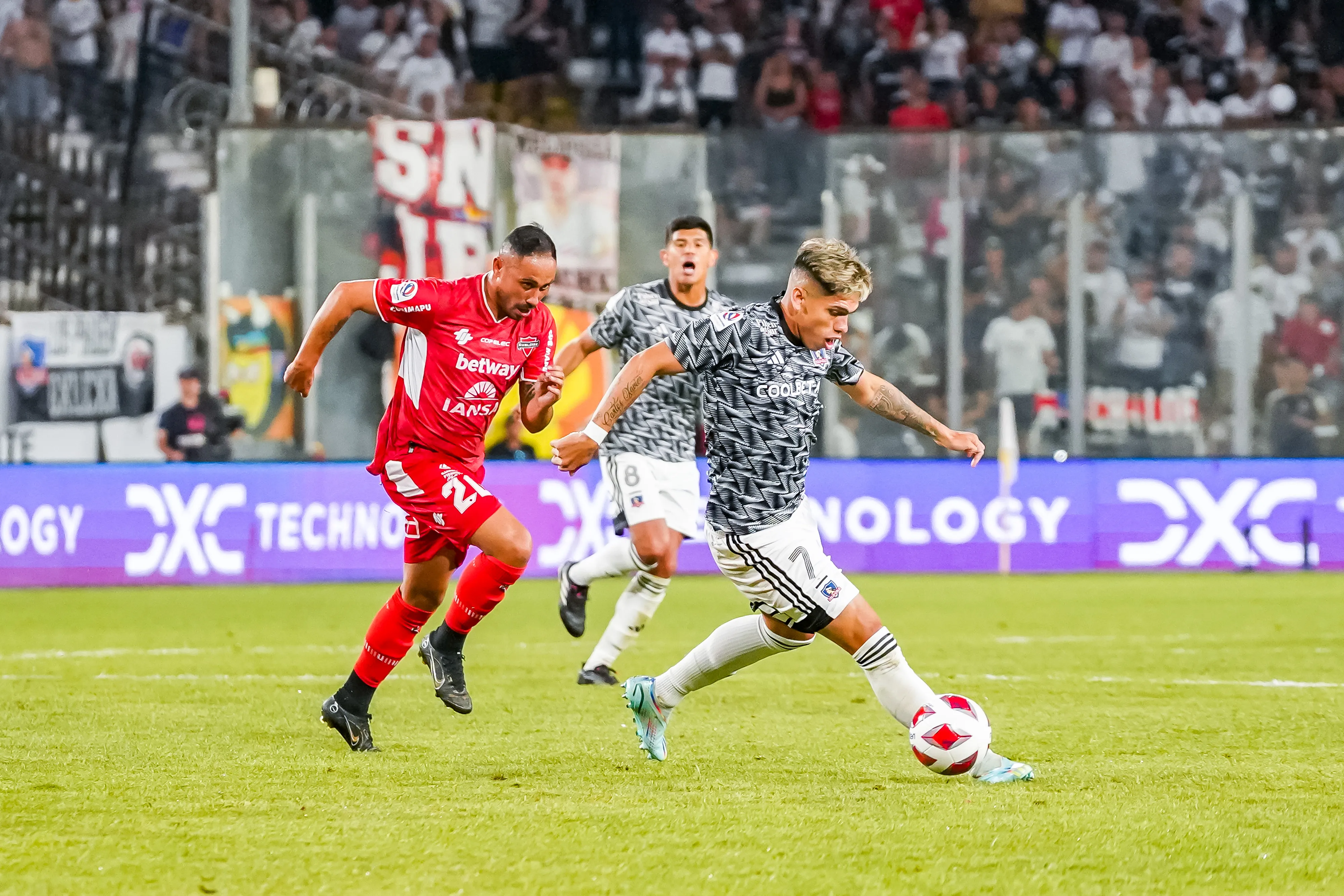 A Borghi lo sorprende la posible vuelta de Carlos Palacios a Colo Colo