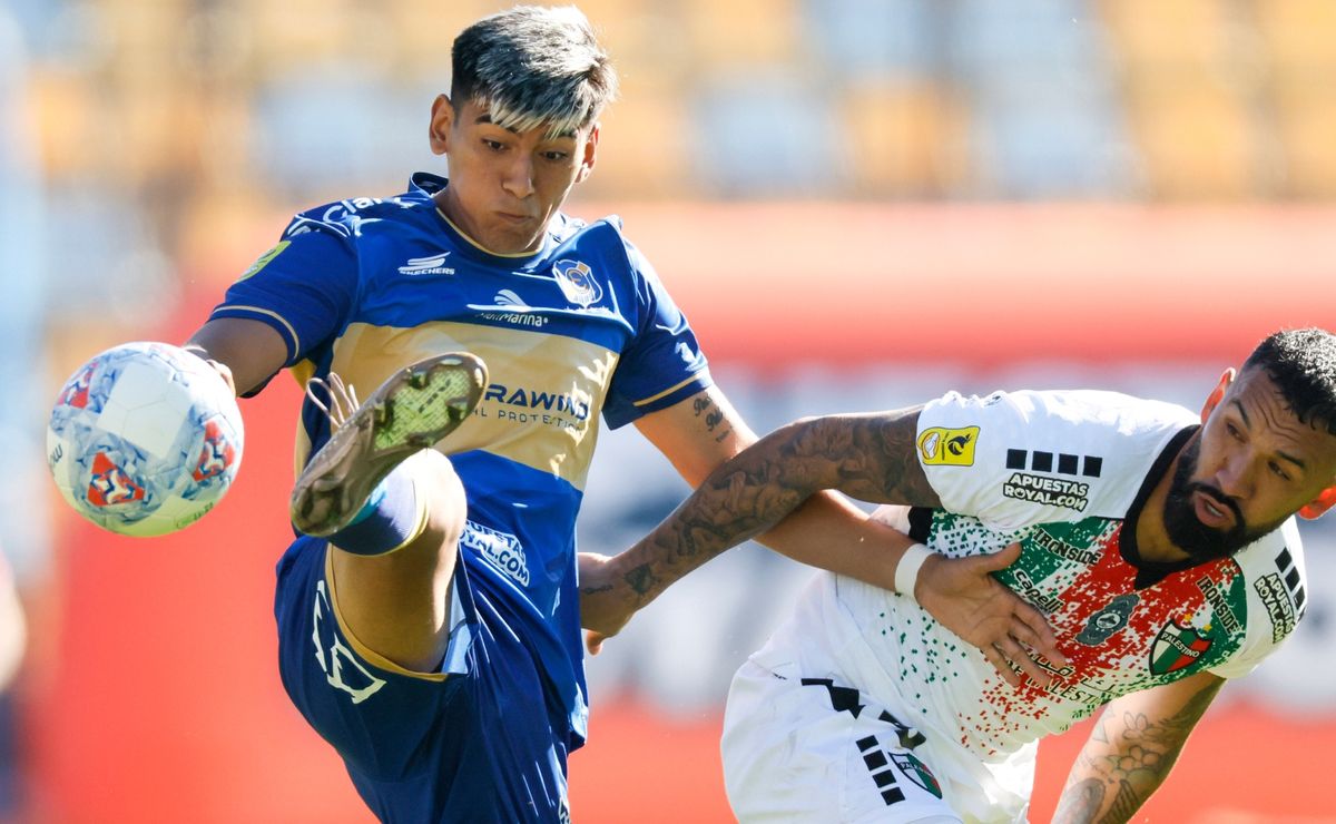 Pronósticos Everton vs Palestino: los Ruleteros buscan seguir en racha frente a unos Árabes al acecho