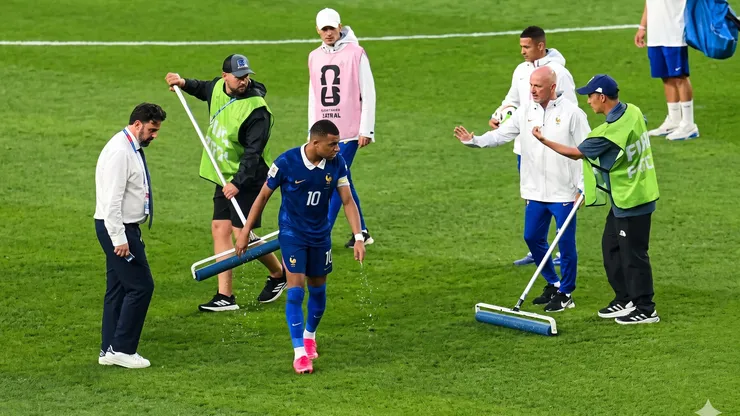 El galo desesperado para volver a jugar rápidamente.