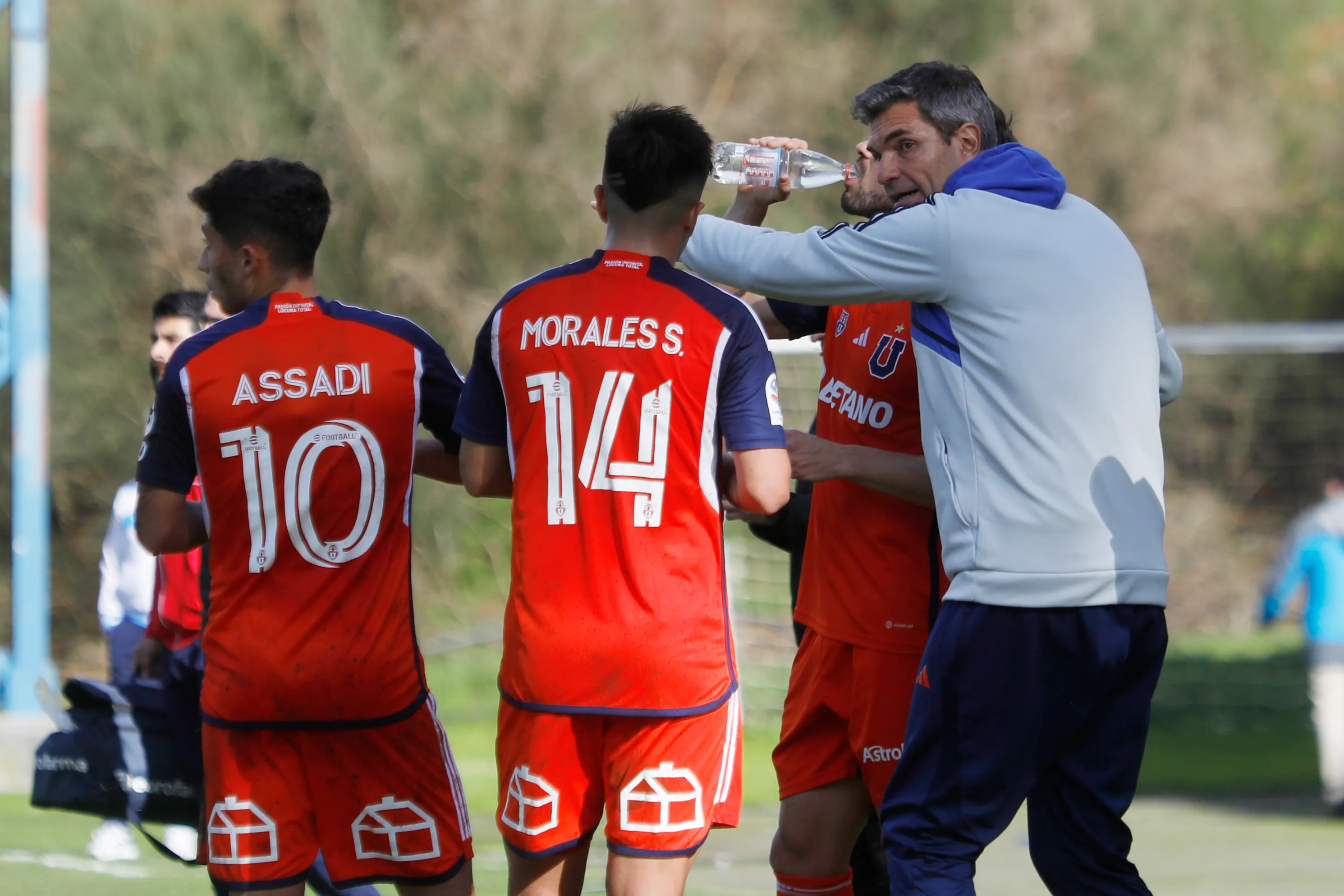 Pellegrino da indicaciones a Assadi y Chelo Morales. (Eduardo Fortes/Photosport).