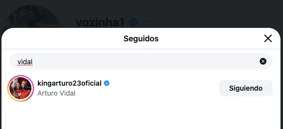 Entre los cientos de seguidores que sumó Vozinha, también aprovechó de seguir a Vidal y Bravo.