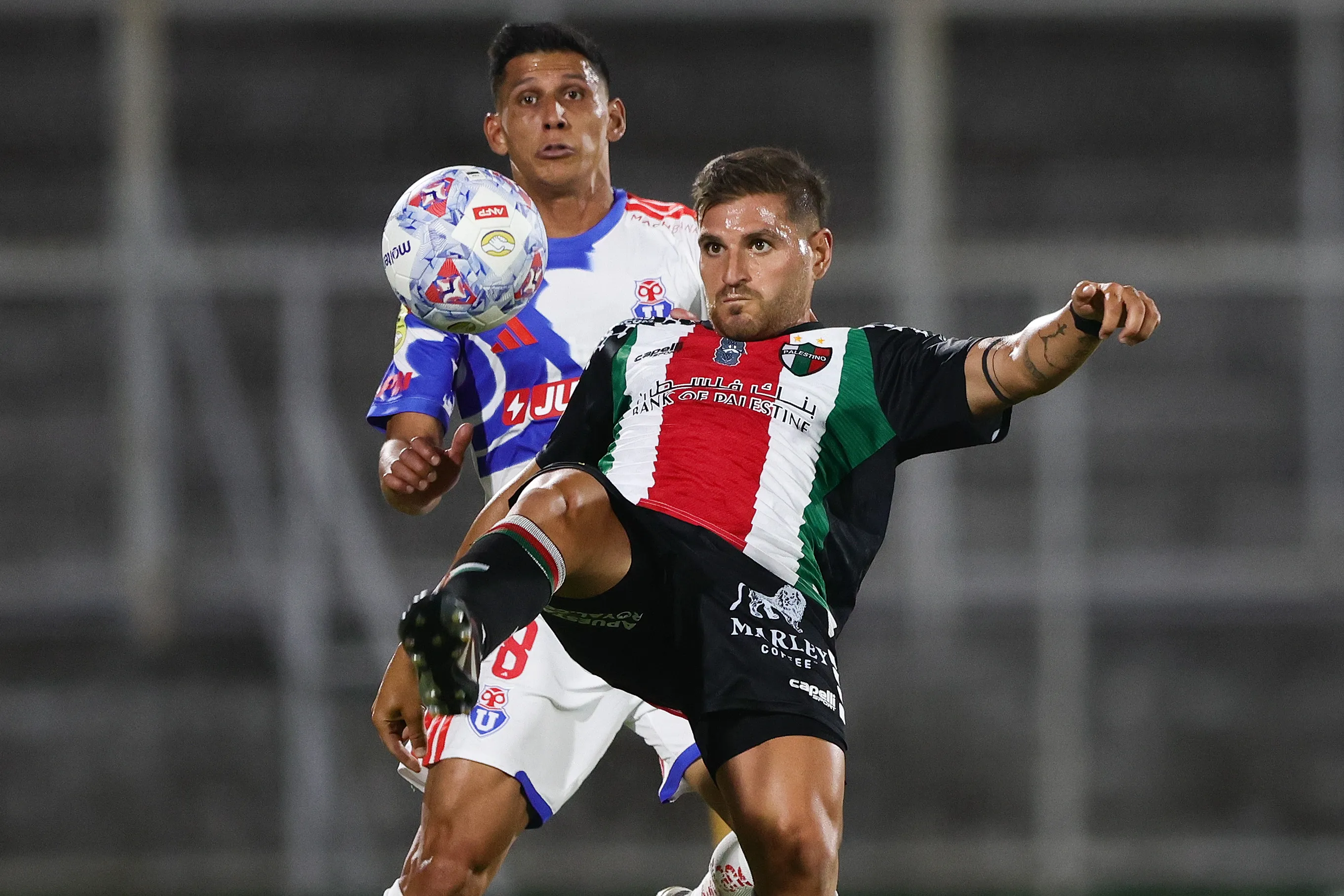 Fernández deja La Cisterna por lo que resta del 2026. Imagen: Photosport