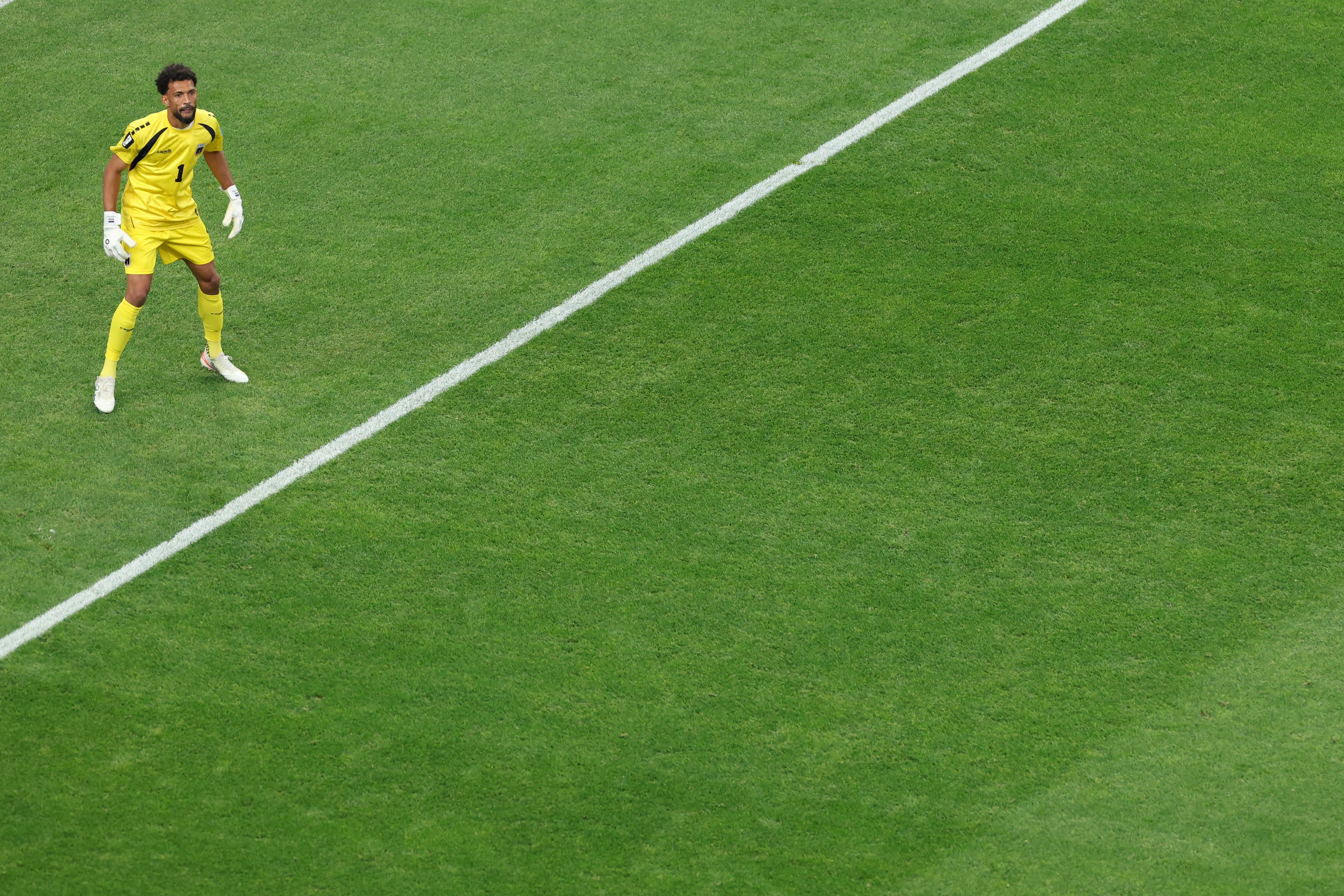 Muy pronto Vozinha lucirá así en el Monumental. (Charlotte Wilson/Getty Images).