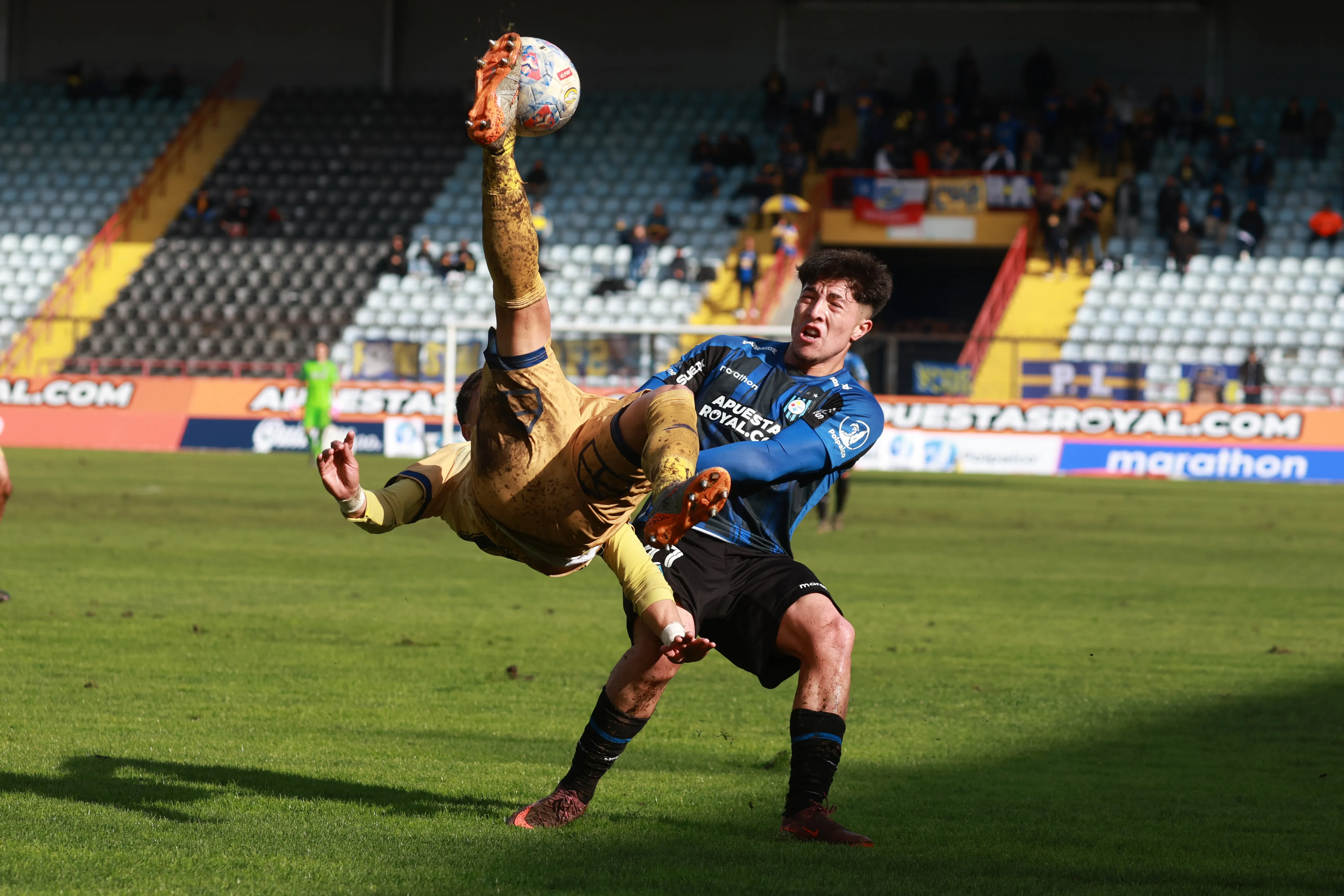Everton sumó una victoria clave ante Huachipato. Foto: Eduardo Fortes/Photosport