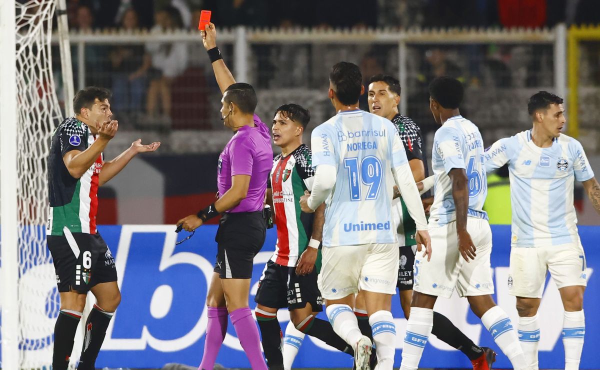 Más de 100 partidos en el club: campeón en Colo Colo deja Palestino acusando “situación personal”