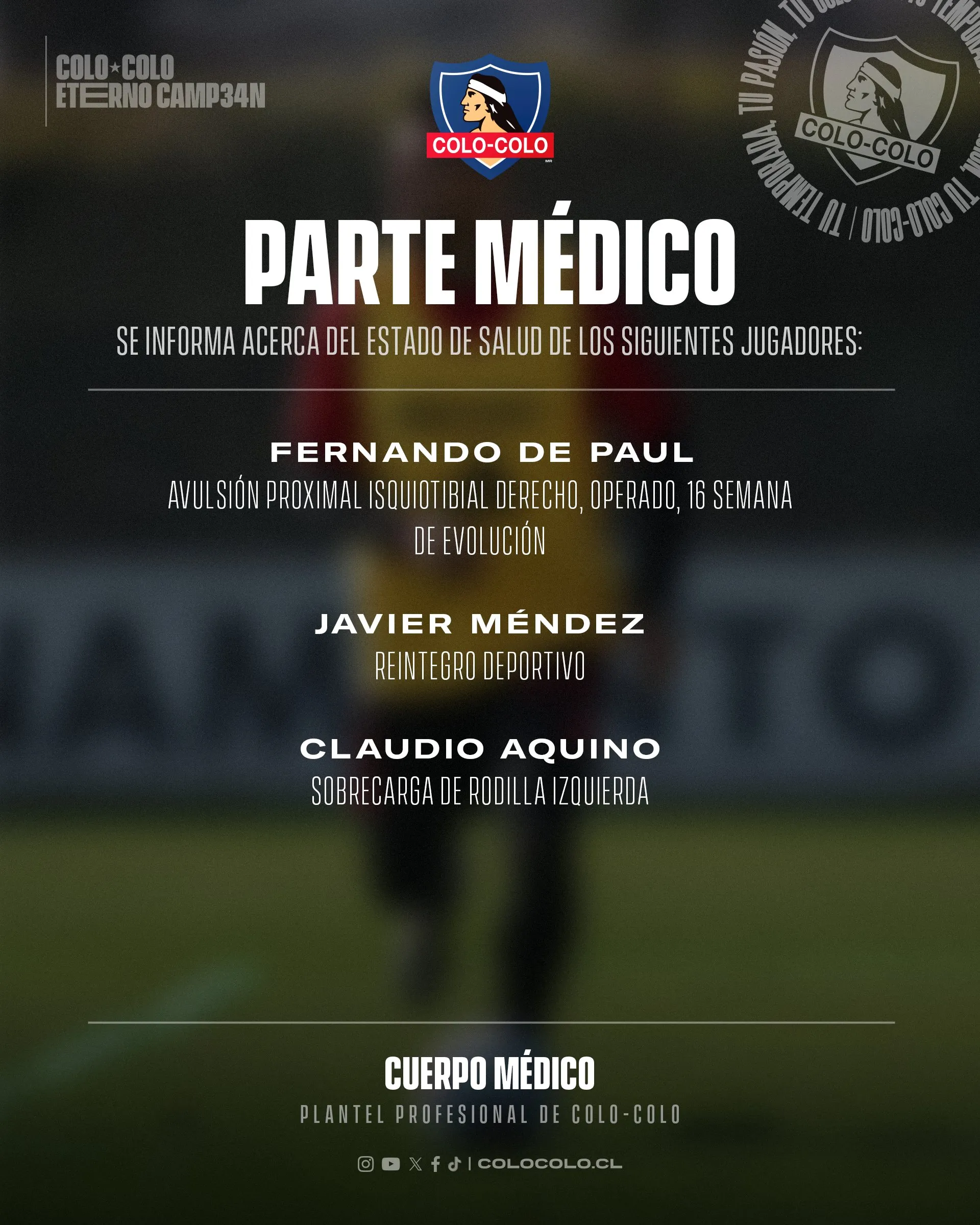 Imagen: Colo Colo