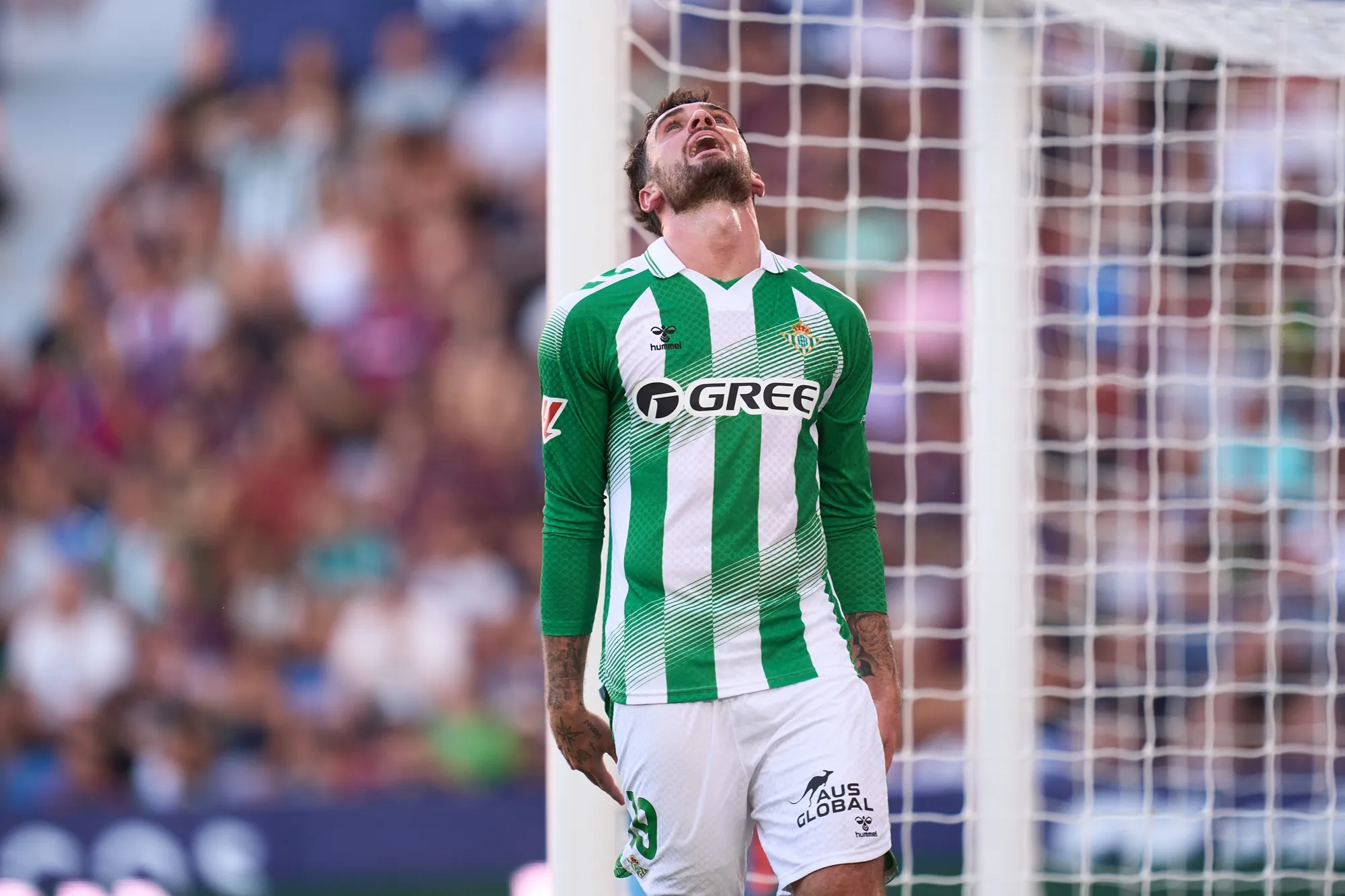 El atacante irlandés Troy Parrott tuvo una chance muy clara que no pudo concretar. (Mateo Villalba Sanchez/Getty Images).