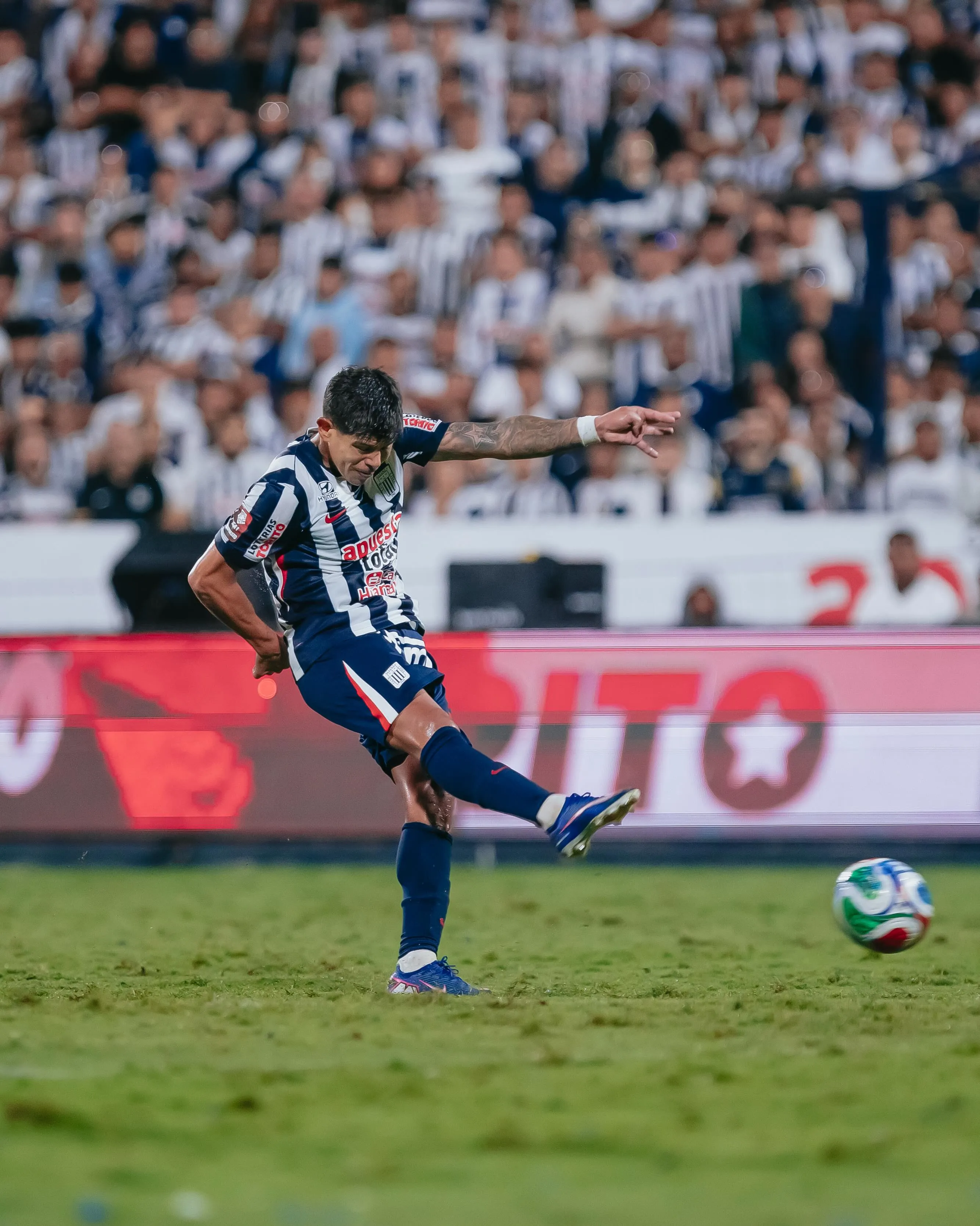 Foto: Instagram Esteban Pavez.