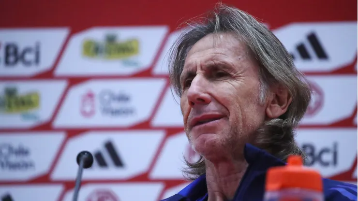 El DT pasó sin pena ni gloria por la Roja.