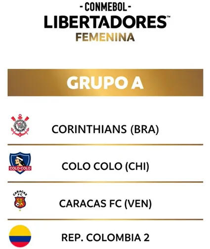 Captura Conmebol.